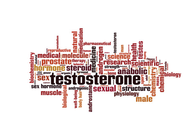 Testosterone Word Jumble